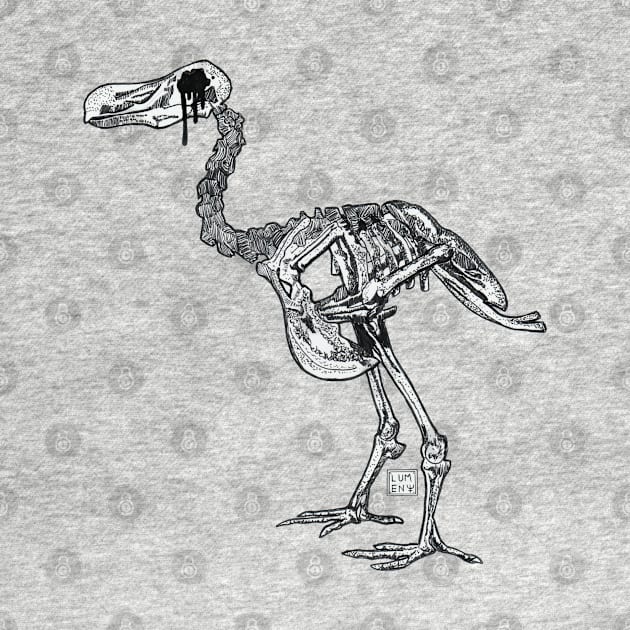 DODO SKELETON by Shall1983